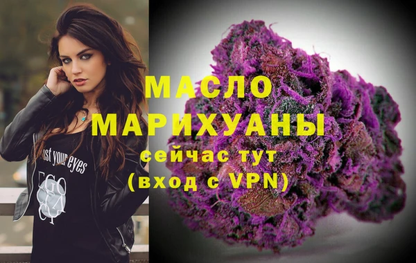 дмт Няндома