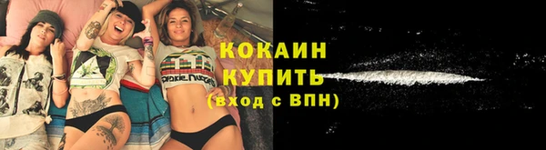 дмт Няндома