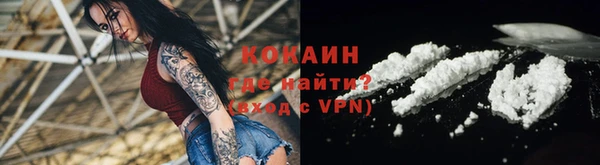 дмт Няндома