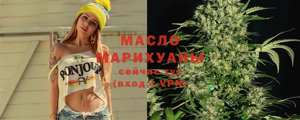 дмт Няндома