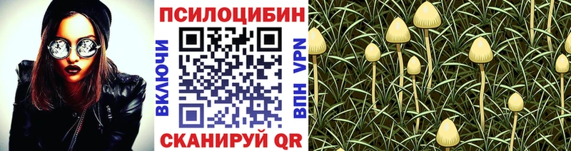 OMG shop наркотические препараты Псилоцибиновые грибы мицелий купить цена Кинешма