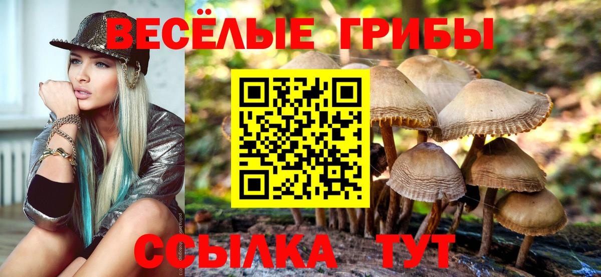 Псилоцибиновые грибы Psilocybine cubensis Кинешма