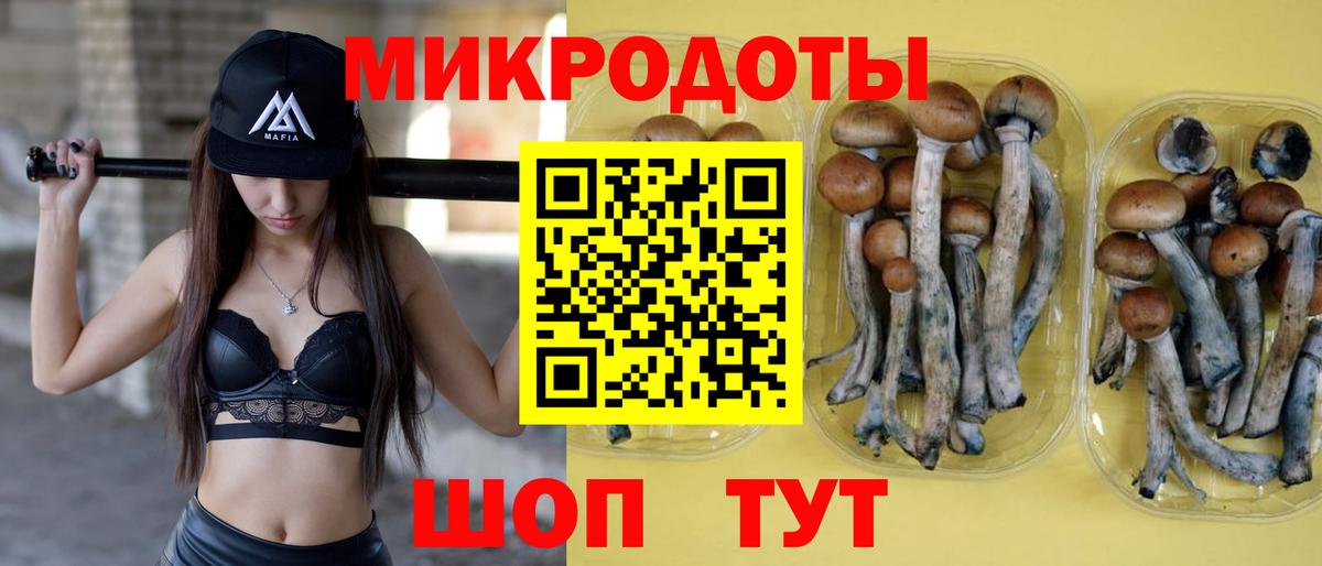 Галлюциногенные грибы мухоморы  Вход с VPN  Кинешма 